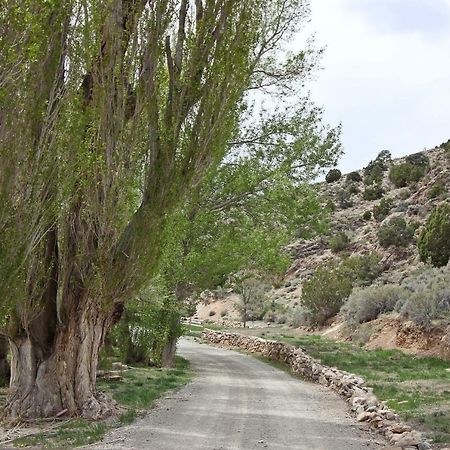 Hidden Canyon Retreat Baker المظهر الخارجي الصورة